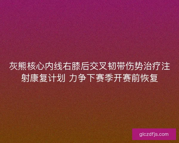 灰熊核心内线右膝后交叉韧带伤势治疗注射康复计划 力争下赛季开赛前恢复